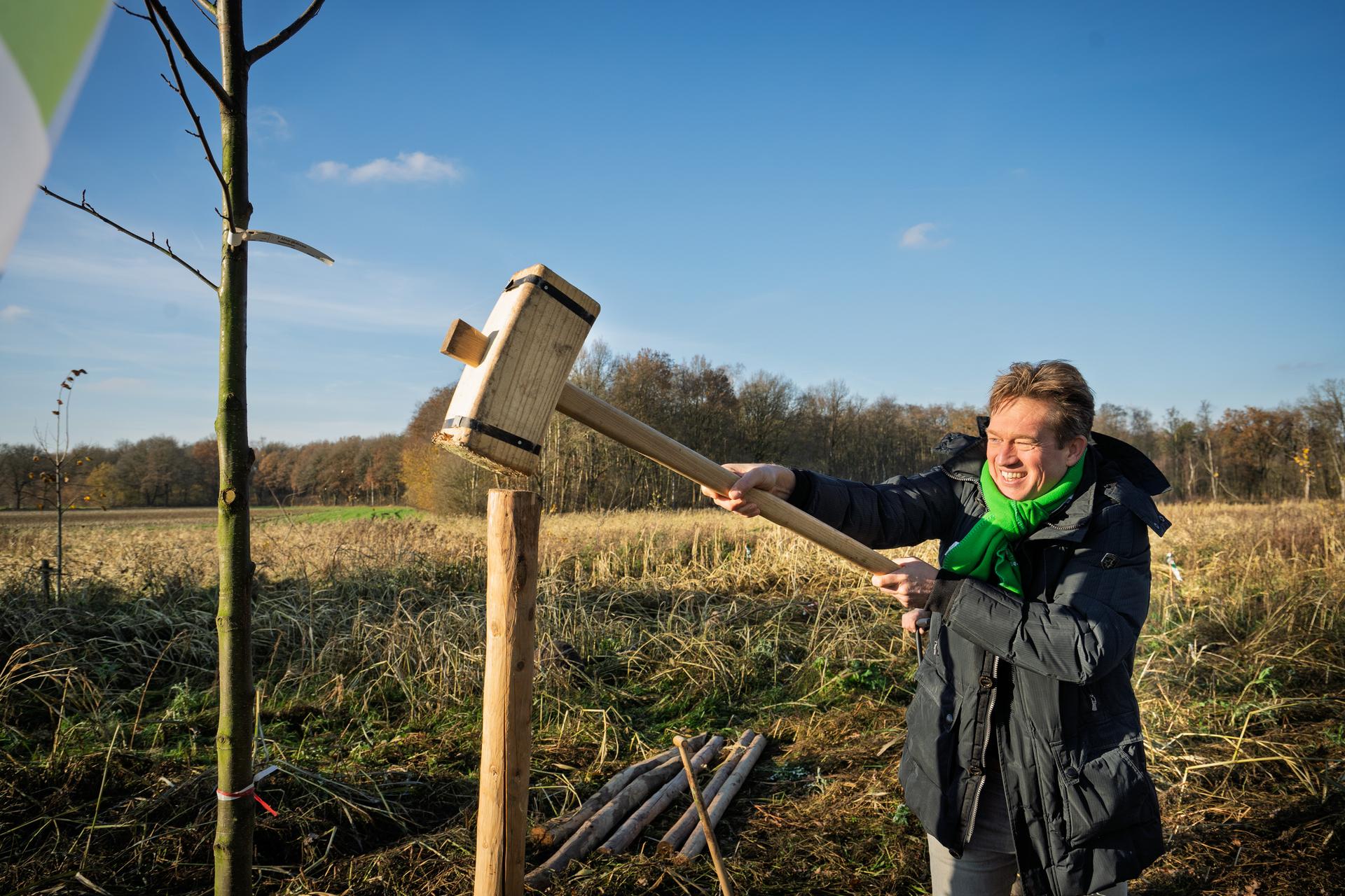 Bomen Castenray