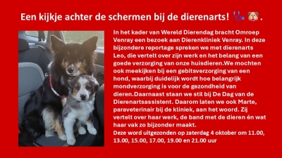 Een kijkje achter de schermen bij de dierenarts!