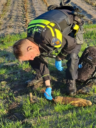 Bom uit Tweede Wereldoorlog gevonden in Wellerlooi