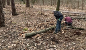 Natuurwerk 2024: Samen aan het werk voor natuur dichtbij huis